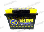 Аккумулятор  55 А*ч  АПЗ (Tyumen Battery)  STANDARD  EN 500A (п.п.) от интернет-магазина avtomag02.ru