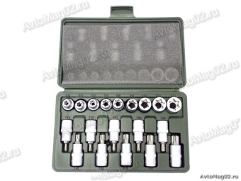 Набор головок с вставкой 1/2" TORX   19пр.  623719 "ДТ"  (Е10,11,12,14,16,18,20,22,24,- Т20,....70.)