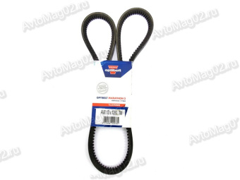 Ремень генератора ПАЗ 1280 зубчатый (ДИЗЕЛЬ)  (AVX 13) Optibelt 33081-1308021